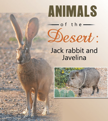 Desert: Jack rabbit and javelina
