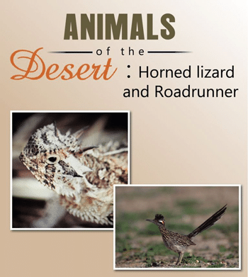Desert: Horned lizard and Roadrunner