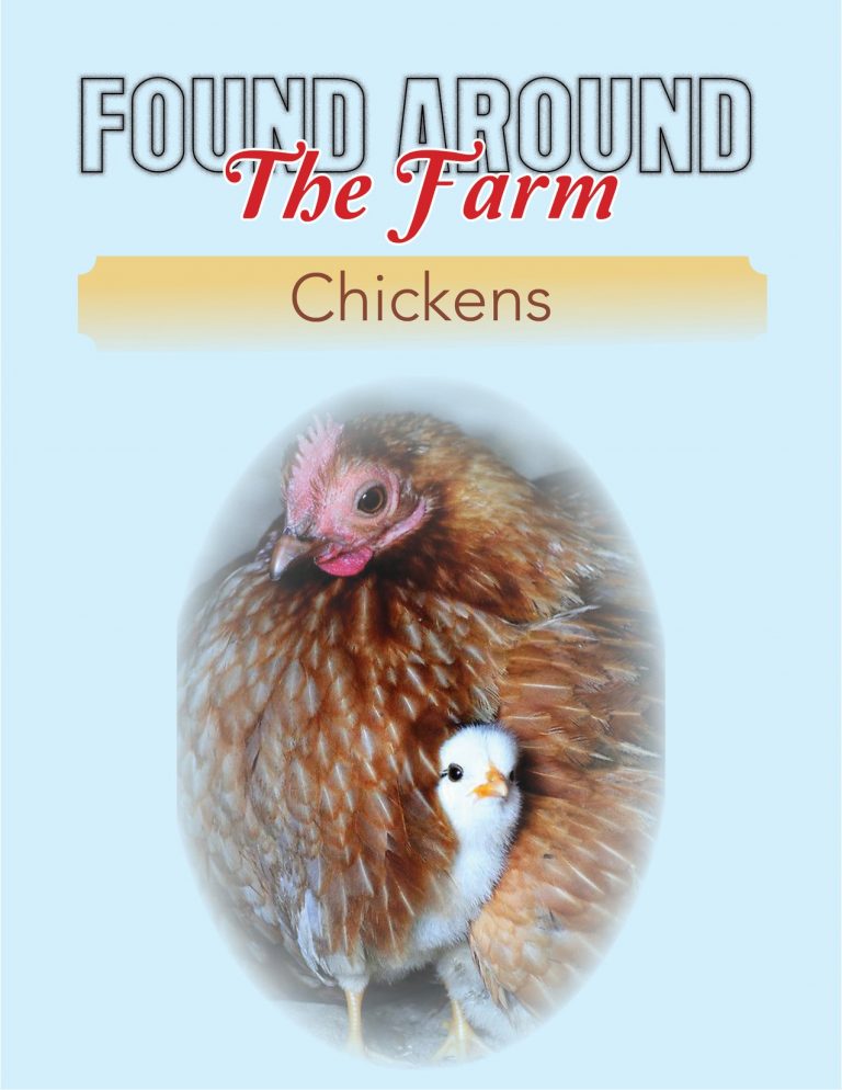Chickens are considered one of the most popular farm staples in the world, and rightfully so since there are over 25 billion of them being raised worldwide, more than any other bird species! Read more