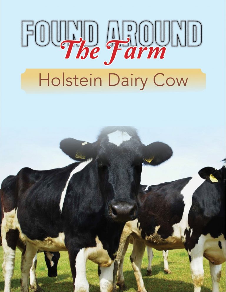 Whenever on a farm, one of the most common animals to see is cattle, but who is the most recognizable? The Holstein dairy cow, of course! Holsteins are easily recognizable by their black and white markings, some may be red and white. Read more
