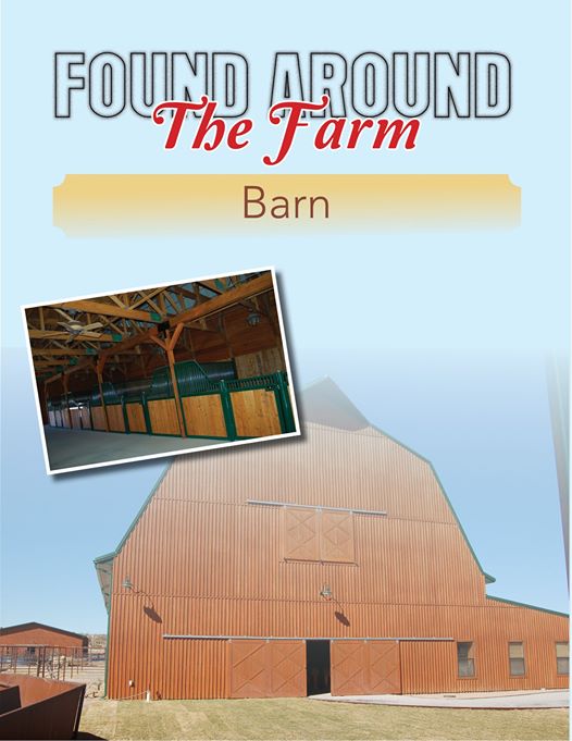 While on the farm, there needs to be a building where many of the animals live. Barns often house livestock such as horses, cattle, and sheep, along with farm equipment, grains and storage of hay. Read more